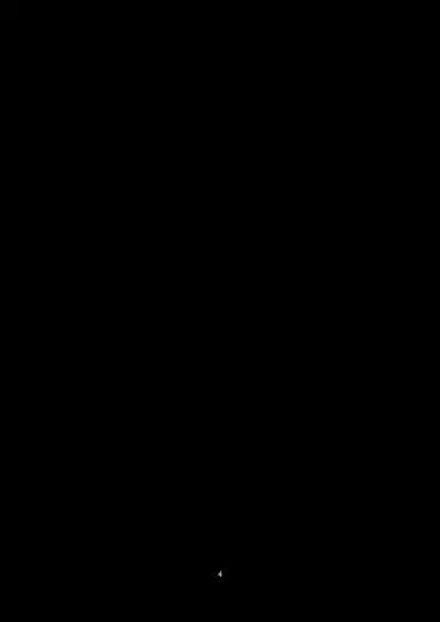 BUKKAKE HAKUDAKU SANAE