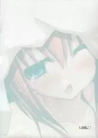 (C83) [Shiwodou. (Shiwo.)] Toy Washing Ver1.11 (Mahou Shoujo Lyrical Nanoha)