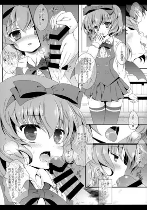 Flower Setoran Touhou Sairokushuu