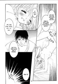 [Sakurara & Cherry (Sakura Mitsuru)] Pink Snow memoria (Hunter x Hunter)english