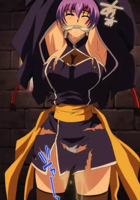 Kunoichi・Sakuya Special Complete Ban