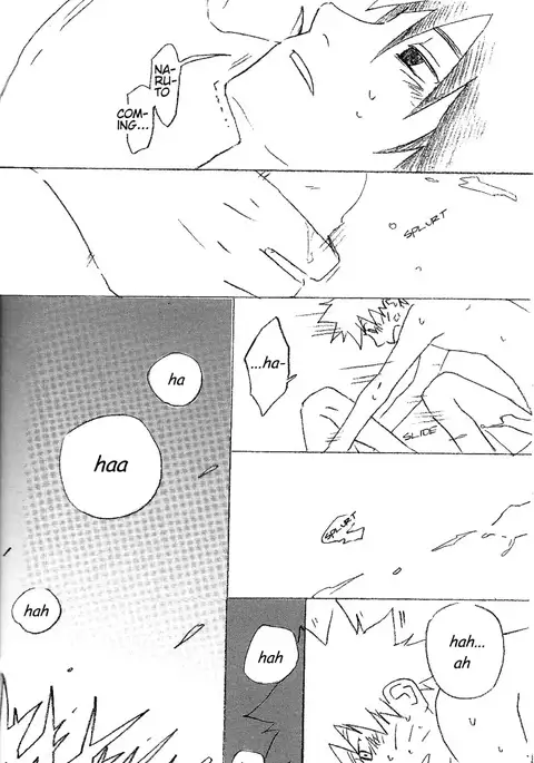 17-Sai Hakusho | 17 Year-Old Report