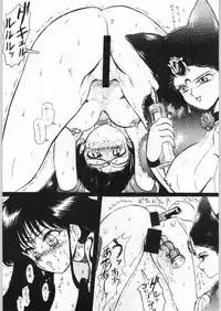 [Effecter (Various)] Katsugeki Nyan Nyan (Bishoujo Senshi Sailor Moon)