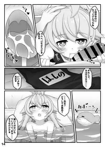 BlueArch Hoshino to Ecchi Book