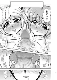 [Misuterutein (Oborogumo Takamitsu)] VH5 (Busou Shinki) [Digital]