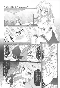 (C80) [Reverse Noise (Yamu)] Pragmatic Phantasm (Touhou Project)