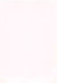 [Amayumi] Sakura Sakura