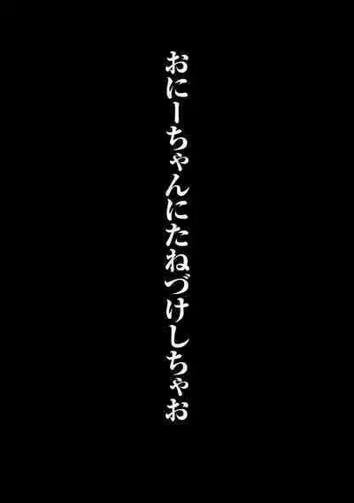Yankee Shiri Ana Gun Horiri Rape | Yankee Anal Fuck Rape