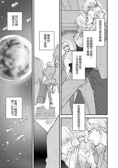 Burlesque Night | 艳舞荒诞夜