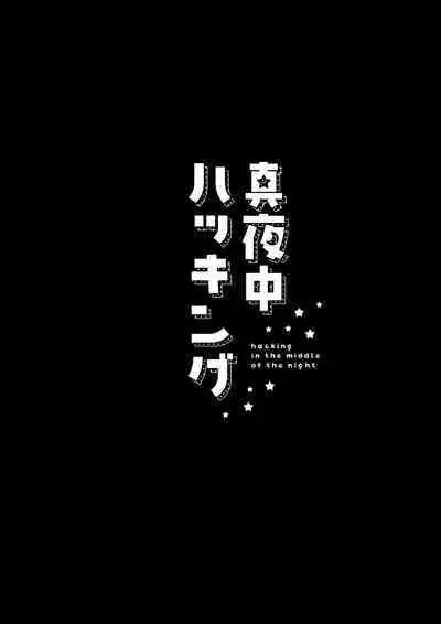 Mayonaka Hacking - hacking in the middle of the night | 夜半时分的骇入