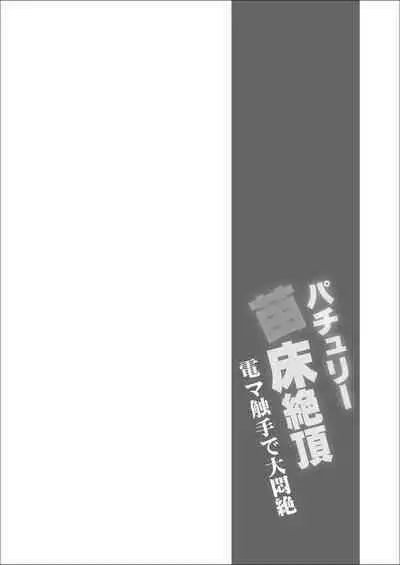 patchouli Naedoko Zecchou Den shokushu de Daimonzetsu