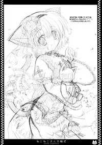 (C70) [Neko Kinryouku (NekoNeko)] NekoNeko Otona Houteishiki