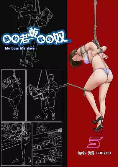 我的老板我的奴5