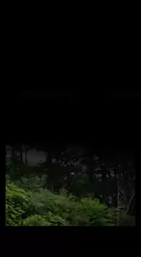 Missing Ch.1-14 (English) (Ongoing)