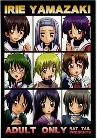 (COMIC1☆4) [RAT TAIL (Irie Yamazaki)] TAIL-MAN HAYATE BOOK (Hayate no Gotoku!)