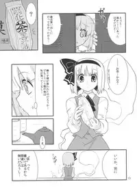 (C77) [Fujiiro Sabou (Fujii Jun)] THE SUN AND THE MOON (Touhou Project)