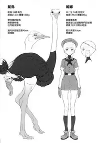 (SC2018 Autumn) [zero-sen (xxzero)] Tori no Kimochi Ii [Chinese] [沒有漢化]