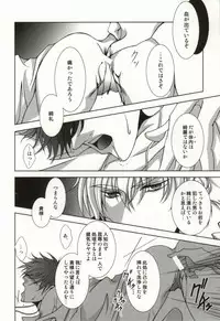 (C81) [Einsatz (snb)] The Apocalypse ~Mokushiroku~ (Fate/Zero)