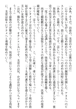 年上メイドの新婚日記