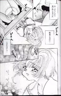 [Abe Ryu] [2000 Summer] Wolf and Cherry