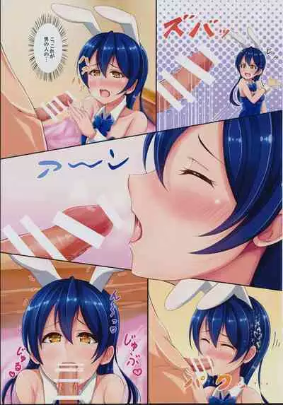 UMI BUNNY