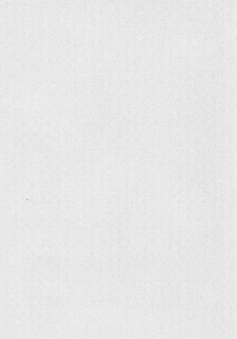 Hikouritsuteki Engage