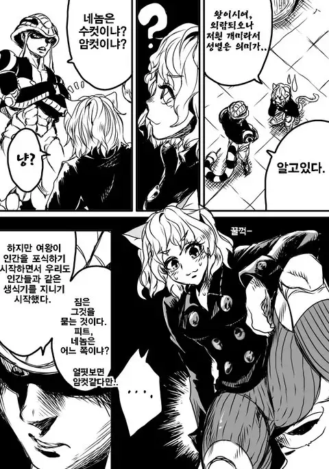 피트의 성별은?