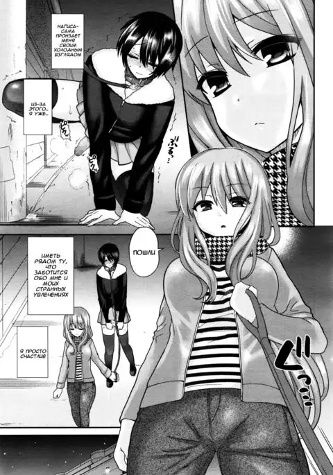 Domestic Dog | Домашняя Собаука