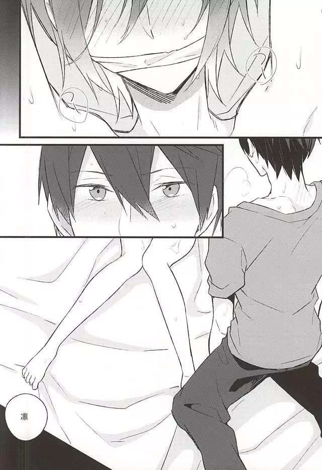 エンゼルフィッシュの羽根