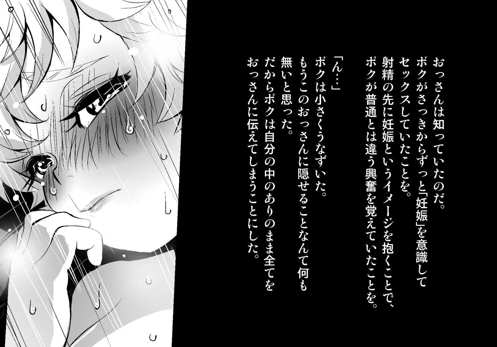 フェアリーセティ