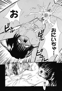 [Anthology] Pure Petit Vol.24