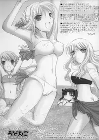 (C70) [UDON-YA (Kizuki Aruchu, ZAN)] Udonko CM70 Omake Hon (Various)