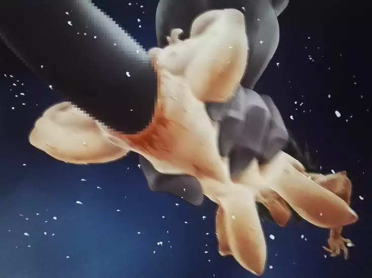 The Comprehensive Disgrace of Amazoness