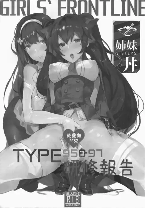 TYPE95&97 Maintenance Report