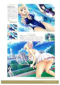 Walkure Romanze More & More Visual Fan Book