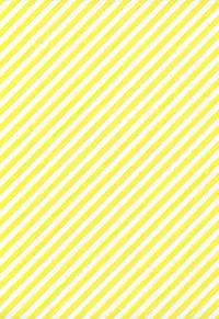 (C75) [Sadistic Mary (Hattori Mitsuka)] FLASH BACK 20081230 (Bleach)