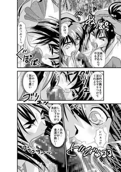 HagoromoVENUS完全版