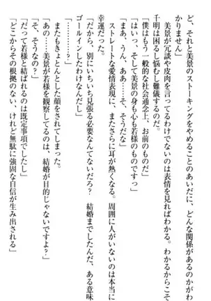 年上メイドの新婚日記