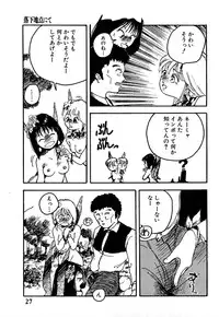 [Hayakawa Mamoru] Rakka Chiten Nite