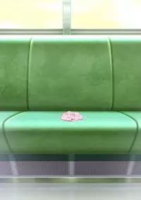 ○女チカン電車珍ぶらり子宮行き