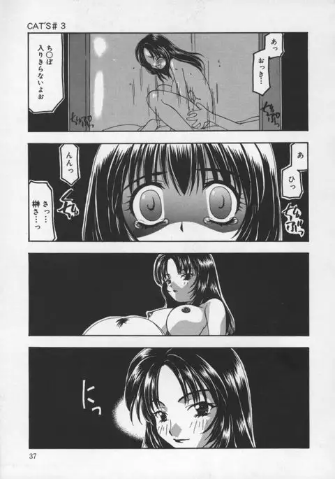 Cats On The Black Cage