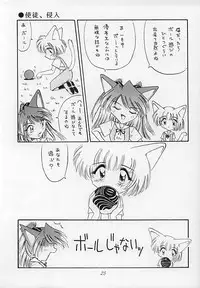 (C51) [Nekomimi Sorcery (Masamineko)] Ebaneko (Neon Genesis Evangelion)