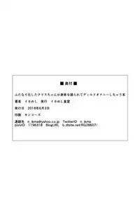 [Ikameshi Shokudou (Ikameshi)] NOISE (Senki Zesshou Symphogear) [Digital] + Event Special Brochure