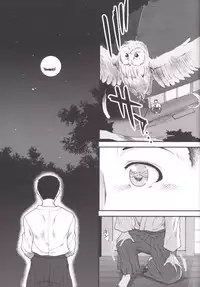 (C89) [Stoic Romance (Ariga Tou)] Shouji no Mukougawa (Kantai Collection -KanColle-)