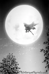 X The Dark Legend of Zelda