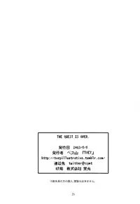 (Shotaful!) [TOEY (Besuyama)] the quest is over. (Dragon Quest V)