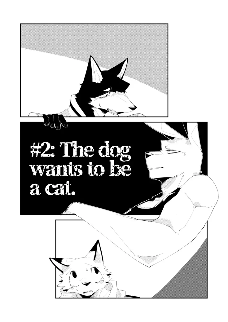 Muderers in the lost city