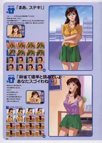 Super Real Mahjong Visual Fan Book Perfect Collection