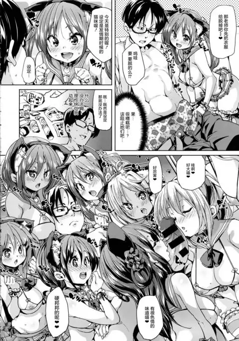 Neko Cafe Hatsujou Chuu! | 猫咪咖啡发情中