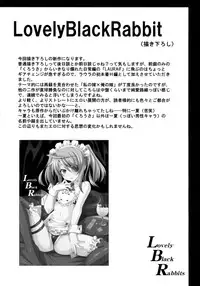 (C85) [LemonMaiden (Aoi Masami)] LovelyBlackRabbitS (IS <Infinite Stratos>)